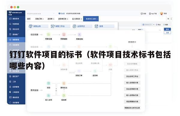 钉钉软件项目的标书（软件项目技术标书包括哪些内容）