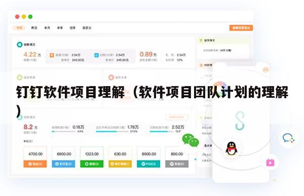 钉钉软件项目理解（软件项目团队计划的理解）