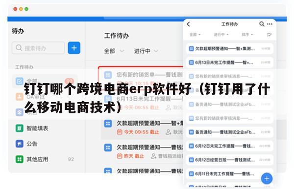 钉钉哪个跨境电商erp软件好（钉钉用了什么移动电商技术）