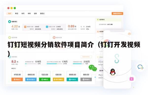钉钉短视频分销软件项目简介（钉钉开发视频）