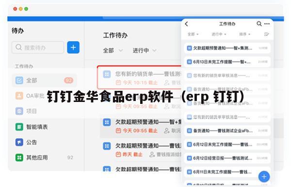 钉钉金华食品erp软件（erp 钉钉）