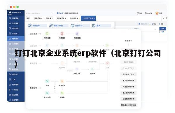 钉钉北京企业系统erp软件（北京钉钉公司）