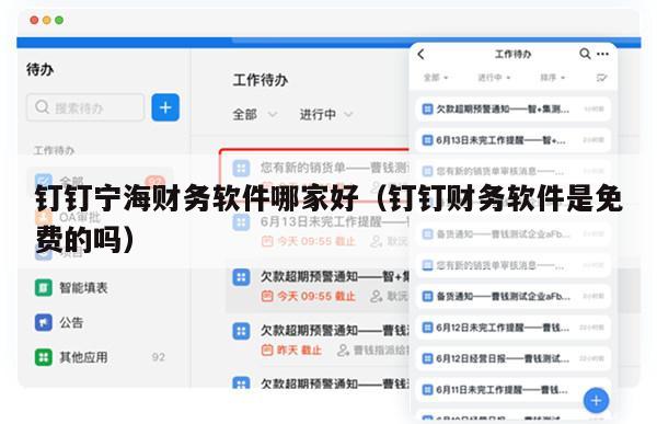 钉钉宁海财务软件哪家好（钉钉财务软件是免费的吗）