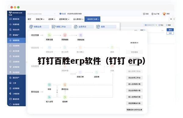 钉钉百胜erp软件（钉钉 erp）