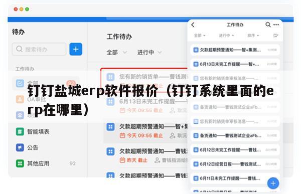 钉钉盐城erp软件报价（钉钉系统里面的erp在哪里）
