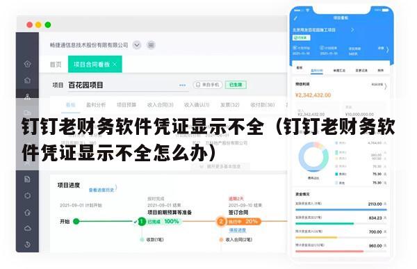 钉钉老财务软件凭证显示不全（钉钉老财务软件凭证显示不全怎么办）