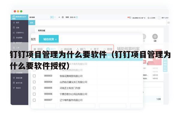 钉钉项目管理为什么要软件（钉钉项目管理为什么要软件授权）