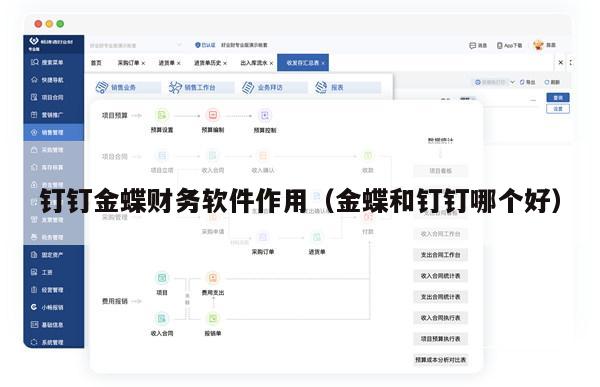 钉钉金蝶财务软件作用（金蝶和钉钉哪个好）