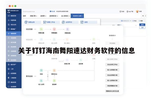 关于钉钉海南舞阳速达财务软件的信息