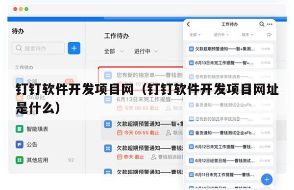 钉钉软件开发项目网（钉钉软件开发项目网址是什么）