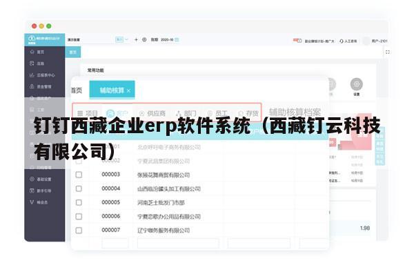 钉钉西藏企业erp软件系统（西藏钉云科技有限公司）
