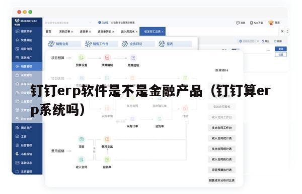 钉钉erp软件是不是金融产品（钉钉算erp系统吗）