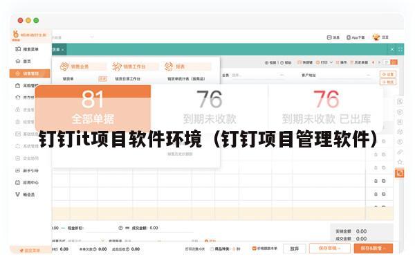 钉钉it项目软件环境（钉钉项目管理软件）