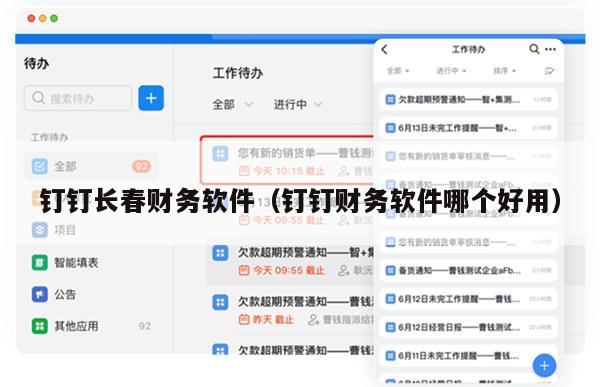钉钉长春财务软件（钉钉财务软件哪个好用）