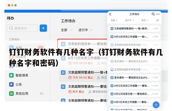 钉钉财务软件有几种名字（钉钉财务软件有几种名字和密码）