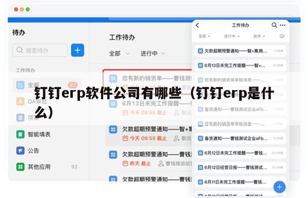 钉钉erp软件公司有哪些（钉钉erp是什么）