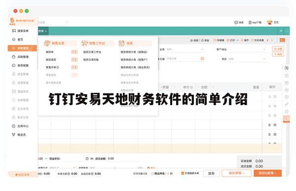 钉钉安易天地财务软件的简单介绍