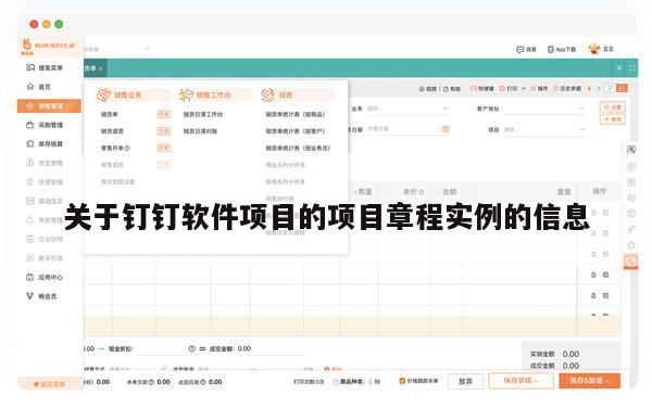 关于钉钉软件项目的项目章程实例的信息