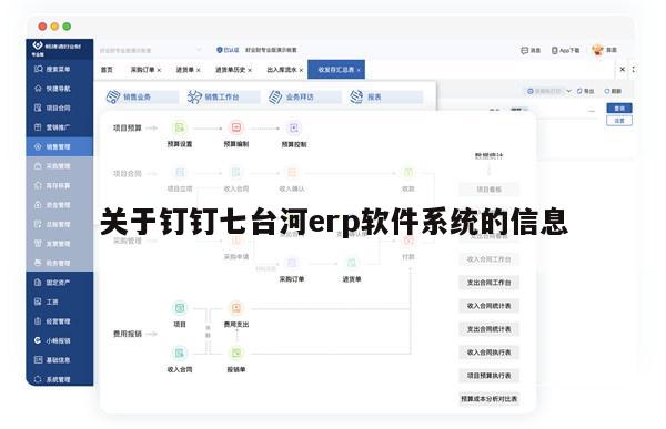 关于钉钉七台河erp软件系统的信息