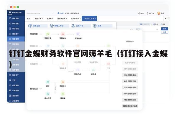 钉钉金蝶财务软件官网薅羊毛（钉钉接入金蝶）