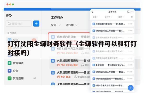 钉钉沈阳金蝶财务软件（金蝶软件可以和钉钉对接吗）