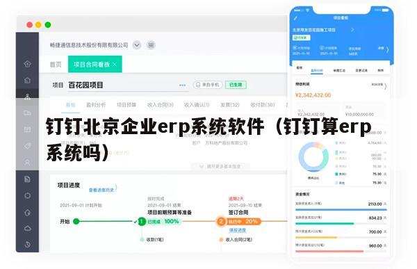 钉钉北京企业erp系统软件（钉钉算erp系统吗）