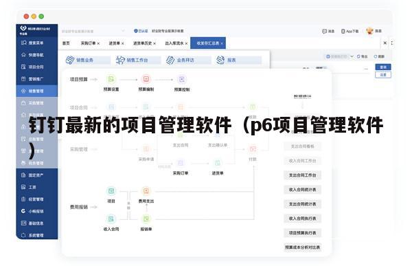 钉钉最新的项目管理软件（p6项目管理软件）
