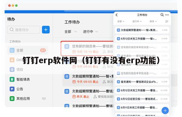 钉钉erp软件网（钉钉有没有erp功能）