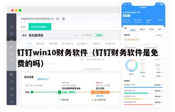 钉钉win10财务软件（钉钉财务软件是免费的吗）