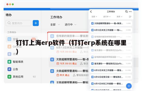 钉钉上海erp软件（钉钉erp系统在哪里）