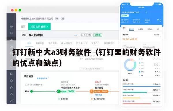 钉钉新中大a3财务软件（钉钉里的财务软件的优点和缺点）