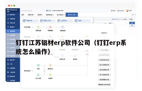 钉钉江苏铝材erp软件公司（钉钉erp系统怎么操作）