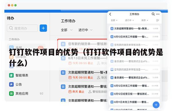 钉钉软件项目的优势（钉钉软件项目的优势是什么）