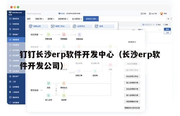 钉钉长沙erp软件开发中心（长沙erp软件开发公司）