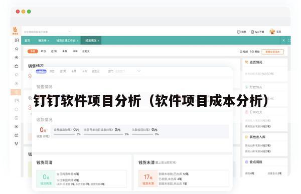 钉钉软件项目分析（软件项目成本分析）