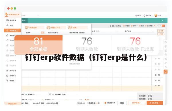 钉钉erp软件数据（钉钉erp是什么）