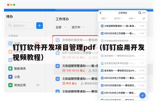 钉钉软件开发项目管理pdf（钉钉应用开发视频教程）