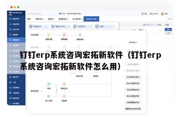 钉钉erp系统咨询宏拓新软件（钉钉erp系统咨询宏拓新软件怎么用）