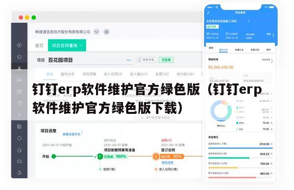 钉钉erp软件维护官方绿色版（钉钉erp软件维护官方绿色版下载）