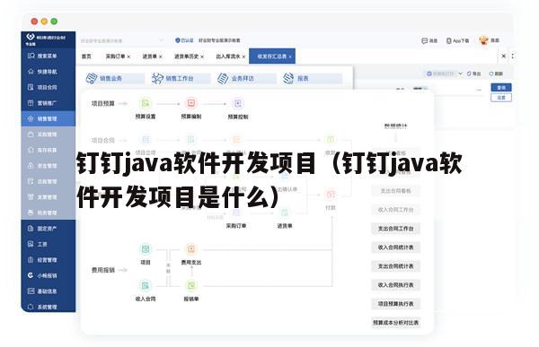 钉钉java软件开发项目（钉钉java软件开发项目是什么）