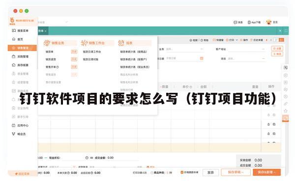 钉钉软件项目的要求怎么写（钉钉项目功能）
