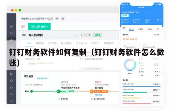 钉钉财务软件如何复制（钉钉财务软件怎么做账）