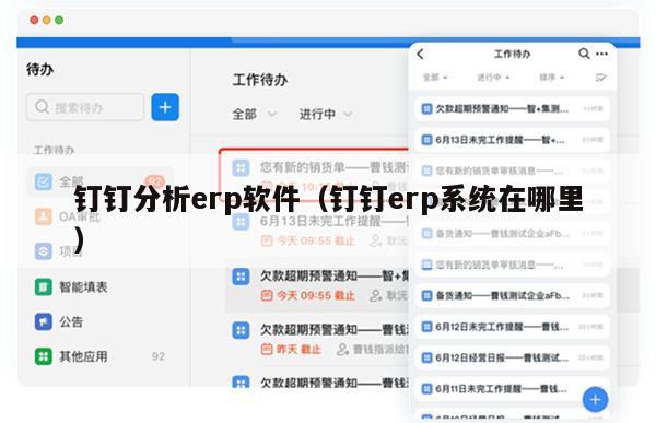 钉钉分析erp软件（钉钉erp系统在哪里）