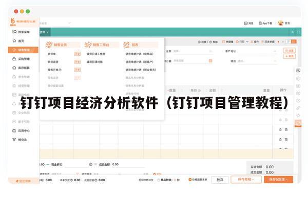 钉钉项目经济分析软件（钉钉项目管理教程）