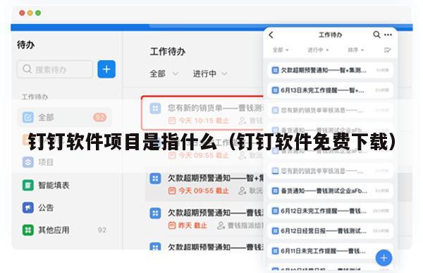 钉钉软件项目是指什么（钉钉软件免费下载）