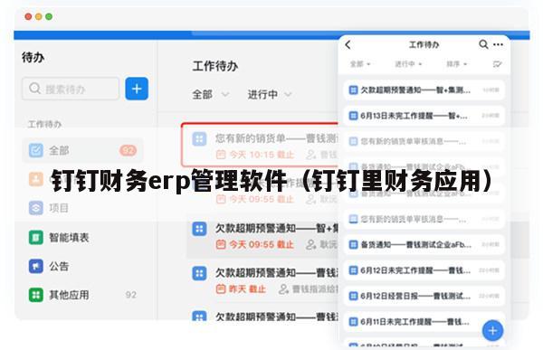 钉钉财务erp管理软件（钉钉里财务应用）