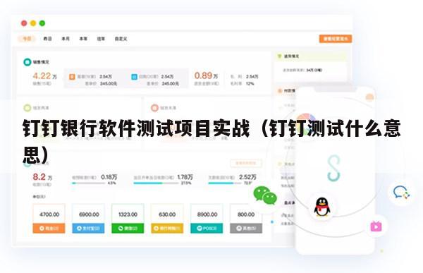 钉钉银行软件测试项目实战（钉钉测试什么意思）