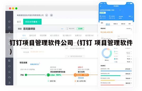 钉钉项目管理软件公司（钉钉 项目管理软件）