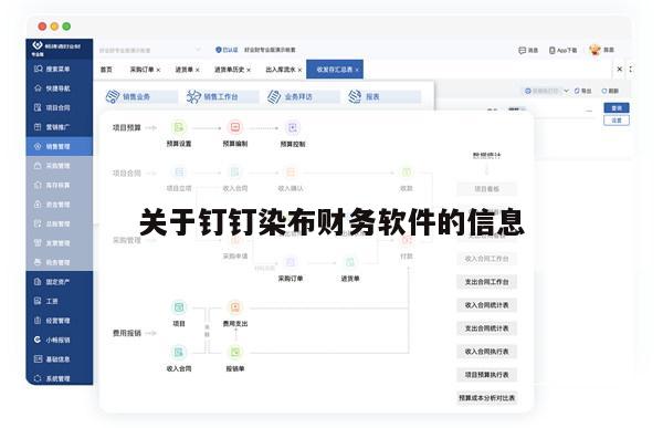 关于钉钉染布财务软件的信息
