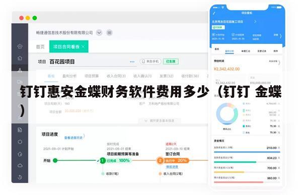 钉钉惠安金蝶财务软件费用多少（钉钉 金蝶）